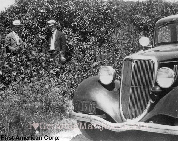 09-med-marijuana-history